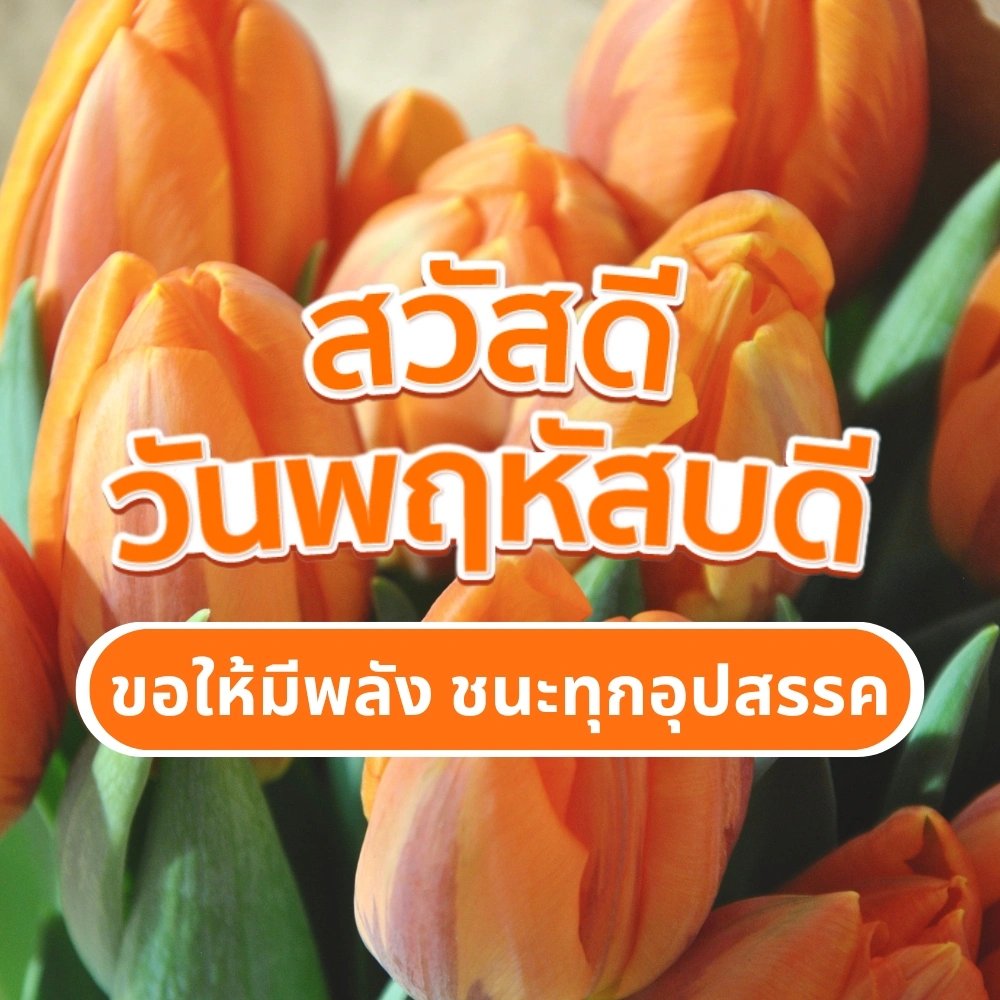 สวัสดีวันพฤหัสบดี